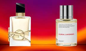 women perfume dossier.co